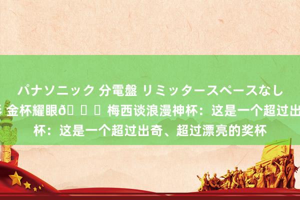 パナソニック 分電盤 リミッタースペースなし 露出・半埋込両用形 金杯耀眼🏆梅西谈浪漫神杯：这是一个超过出奇、超过漂亮的奖杯