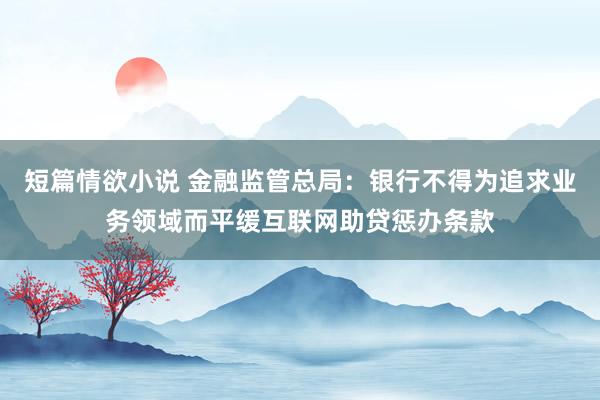 短篇情欲小说 金融监管总局：银行不得为追求业务领域而平缓互联网助贷惩办条款