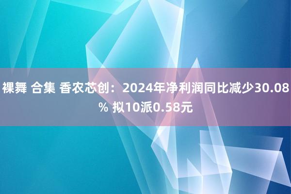 裸舞 合集 香农芯创：2024年净利润同比减少30.08% 拟10派0.58元