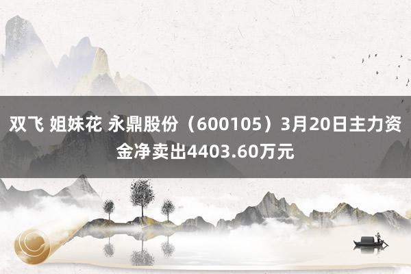 双飞 姐妹花 永鼎股份（600105）3月20日主力资金净卖出4403.60万元