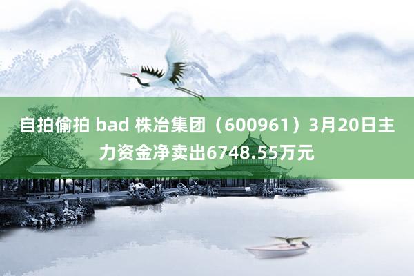 自拍偷拍 bad 株冶集团（600961）3月20日主力资金净卖出6748.55万元