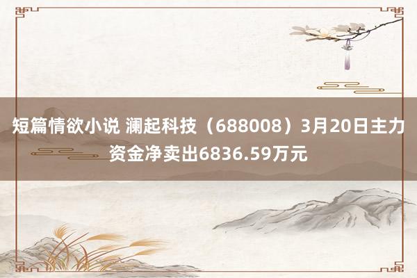 短篇情欲小说 澜起科技（688008）3月20日主力资金净卖出6836.59万元