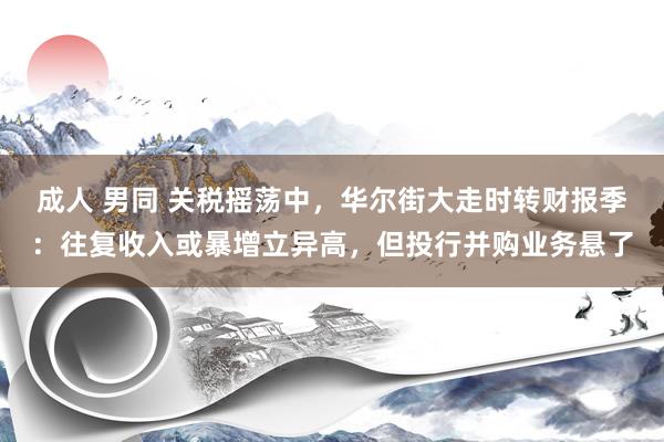 成人 男同 关税摇荡中，华尔街大走时转财报季：往复收入或暴增立异高，但投行并购业务悬了