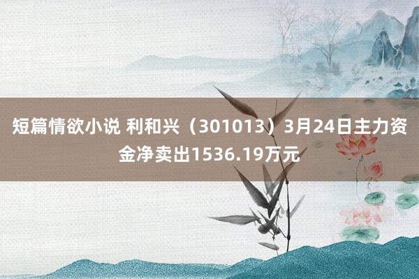 短篇情欲小说 利和兴（301013）3月24日主力资金净卖出1536.19万元