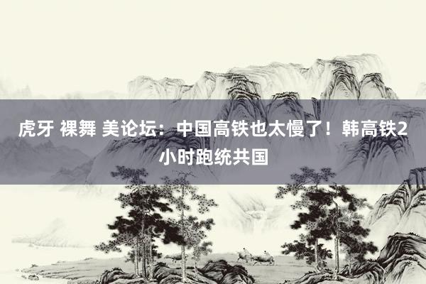 虎牙 裸舞 美论坛：中国高铁也太慢了！韩高铁2小时跑统共国