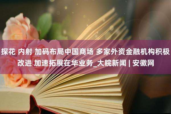探花 内射 加码布局中国商场 多家外资金融机构积极改进 加速拓展在华业务_大皖新闻 | 安徽网