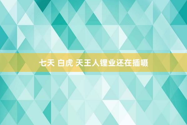 七天 白虎 天王人锂业还在插嗫