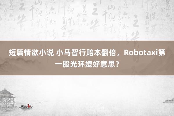 短篇情欲小说 小马智行赔本翻倍，Robotaxi第一股光环媲好意思？