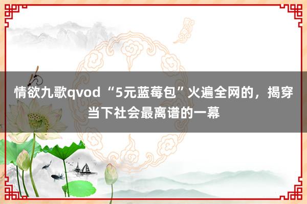 情欲九歌qvod “5元蓝莓包”火遍全网的，揭穿当下社会最离谱的一幕