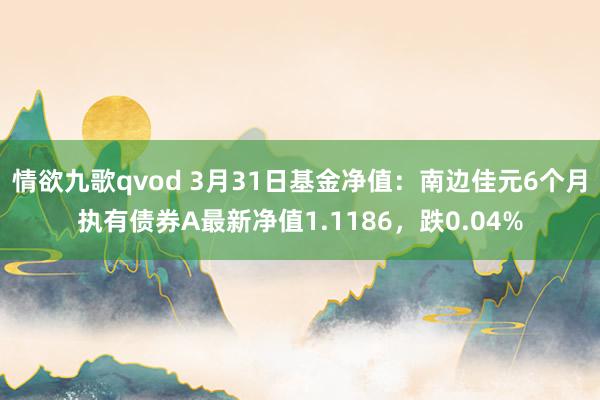 情欲九歌qvod 3月31日基金净值：南边佳元6个月执有债券A最新净值1.1186，跌0.04%
