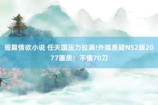 短篇情欲小说 任天国压力拉满!外媒质疑NS2版2077画质：不值70刀