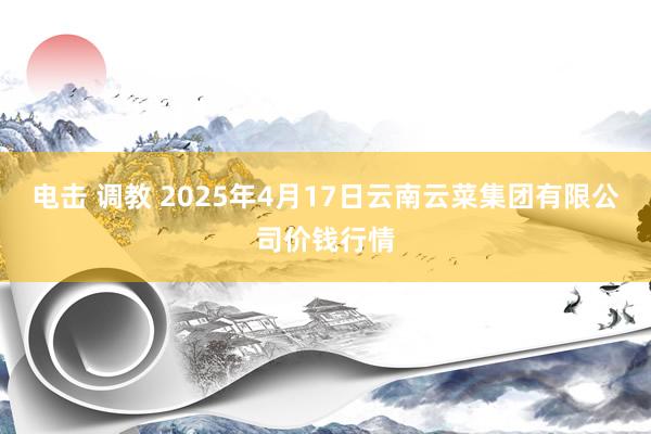 电击 调教 2025年4月17日云南云菜集团有限公司价钱行情