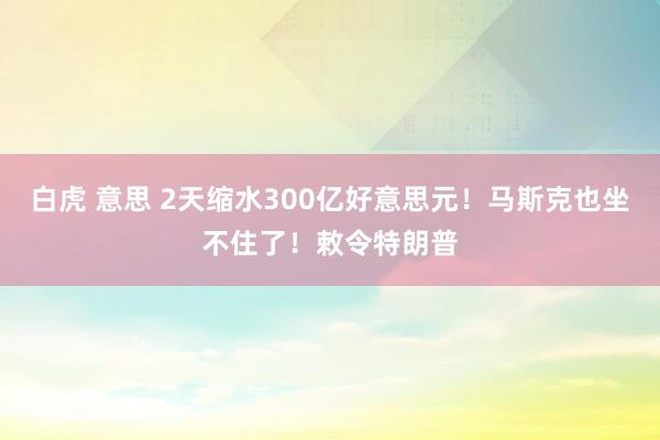 白虎 意思 2天缩水300亿好意思元！马斯克也坐不住了！敕令特朗普