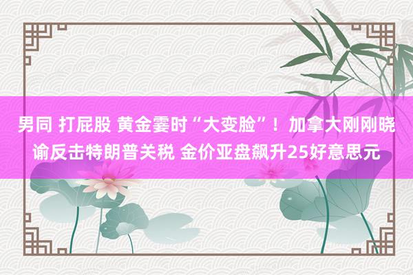 男同 打屁股 黄金霎时“大变脸”！加拿大刚刚晓谕反击特朗普关税 金价亚盘飙升25好意思元