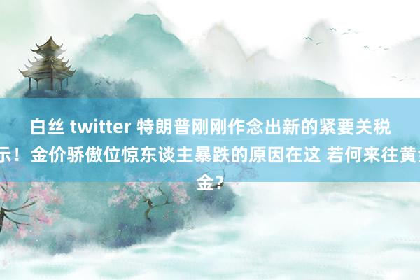 白丝 twitter 特朗普刚刚作念出新的紧要关税晓示！金价骄傲位惊东谈主暴跌的原因在这 若何来往黄金？