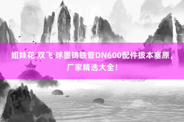 姐妹花 双飞 球墨铸铁管DN600配件拔本塞原，厂家精选大全！