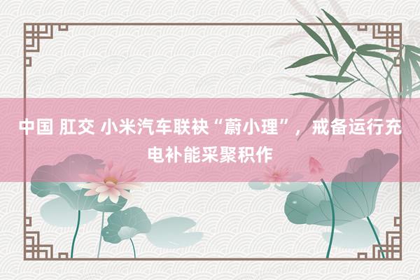 中国 肛交 小米汽车联袂“蔚小理”，戒备运行充电补能采聚积作