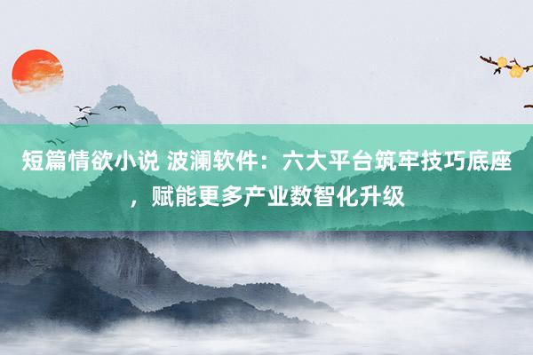 短篇情欲小说 波澜软件：六大平台筑牢技巧底座，赋能更多产业数智化升级