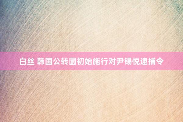 白丝 韩国公转圜初始施行对尹锡悦逮捕令