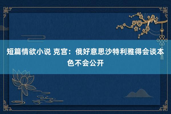 短篇情欲小说 克宫：俄好意思沙特利雅得会谈本色不会公开