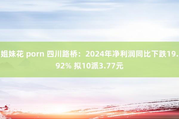 姐妹花 porn 四川路桥：2024年净利润同比下跌19.92% 拟10派3.77元