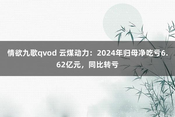 情欲九歌qvod 云煤动力：2024年归母净吃亏6.62亿元，同比转亏